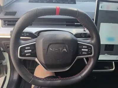 NETA Neta V