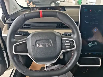 NETA Neta V