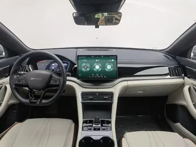 BYD PLUS New Energy