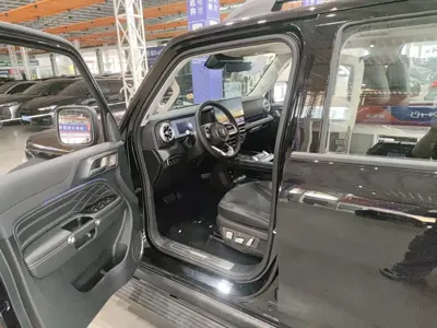Tank Tank 300L New Energy