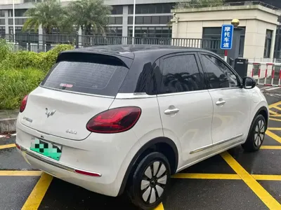 Wuling Bingo
