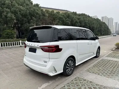 大通 G20