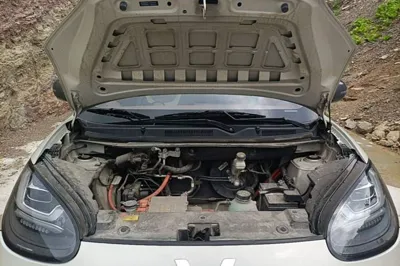 Wuling Bingo