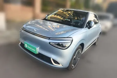 Dongfeng NAMMI 01