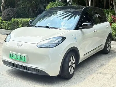 Wuling Bingo