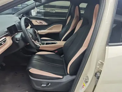 BYD Seagull