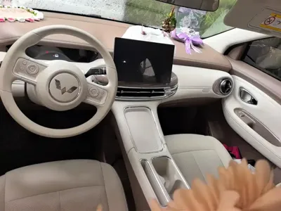 Wuling 缤果Pro