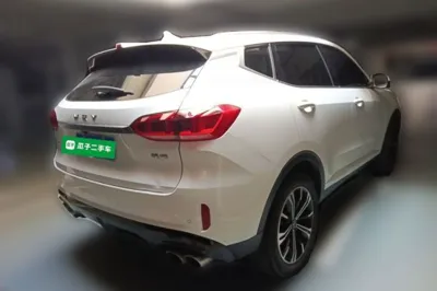 WEY VV6