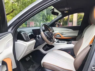 BYD Pro New Energy