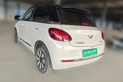Wuling Bingo
