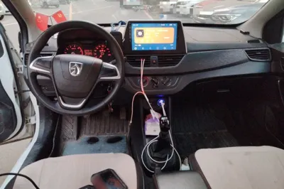 Baojun 310