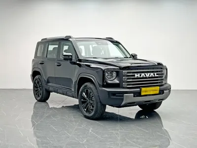 Haval Menglong New Energy