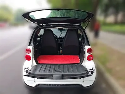Smart Smart Fortwo