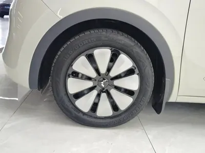 Wuling Bingo