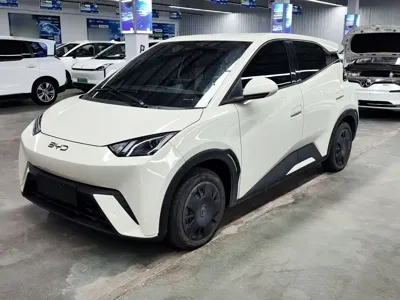 BYD Seagull