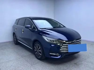 BYD MAX New Energy