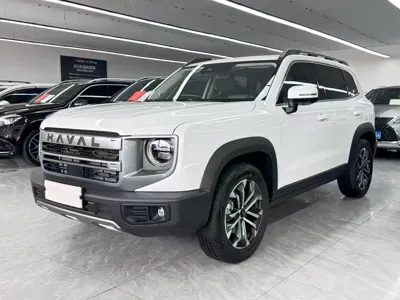 Haval Big Dog