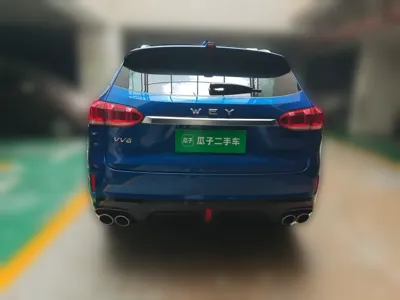WEY VV6