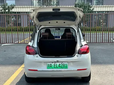 Wuling Bingo