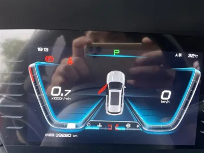 BYD Pro