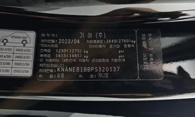 Kia Canival