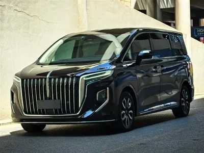 Hongqi Hongqi HQ9