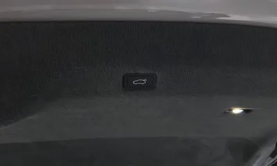 Lotus Emeya