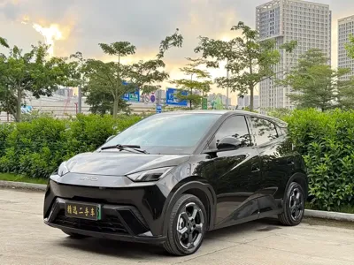 BYD Seagull