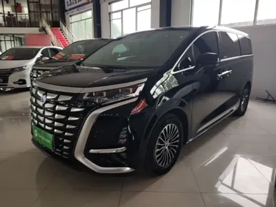 Denza Denza D9