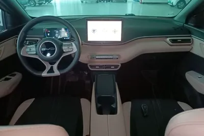 BYD Seagull