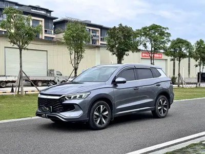 BYD Pro New Energy