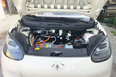 Wuling Bingo