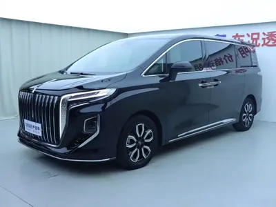 Hongqi Hongqi HQ9