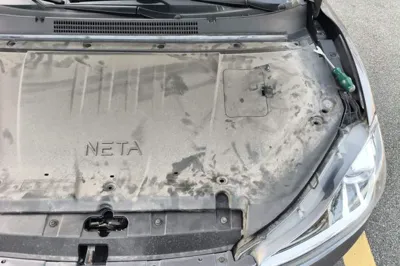 NETA V