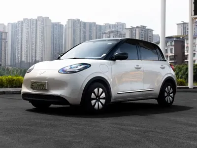 Wuling Bingo