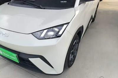 BYD Seagull