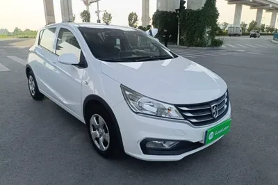 Baojun 310