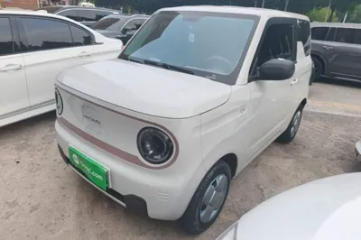 Geely Galaxy Panda