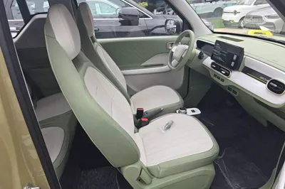Geely Galaxy Panda