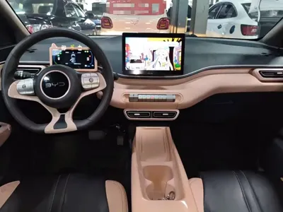 BYD Seagull