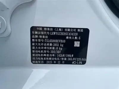 Tesla Model Y L
