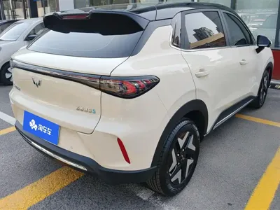 Wuling 缤果S