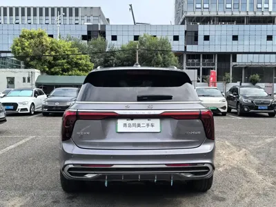 Hongqi Hongqi E-HS9