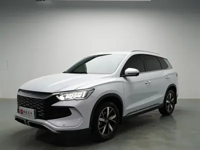 BYD Pro New Energy