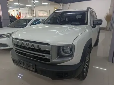 Haval Big Dog