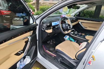 Geely Auto FX11