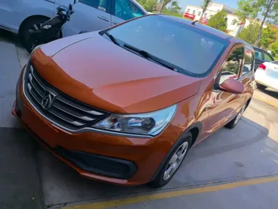 Baojun 310