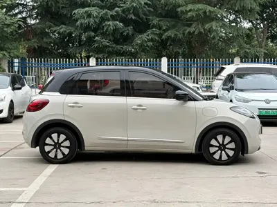 Wuling Bingo