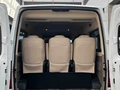 Maxus V80