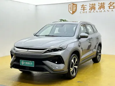 BYD Pro New Energy
